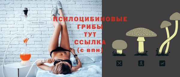 дмт Нязепетровск