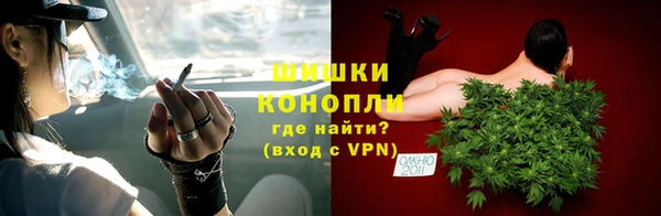 шишки Няндома