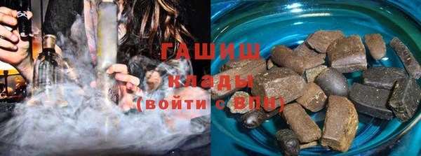 шишки Няндома