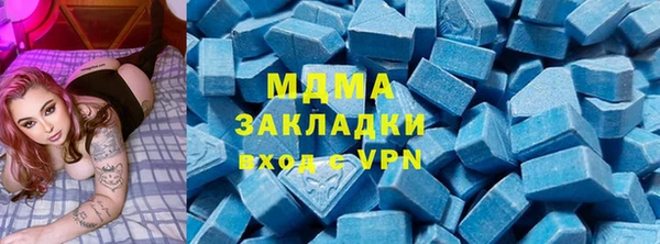 шишки Няндома