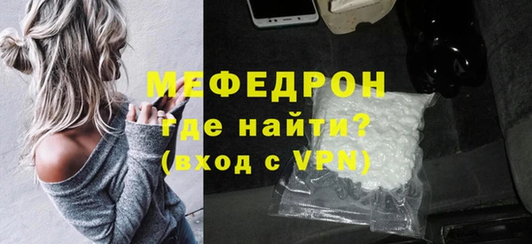 шишки Няндома