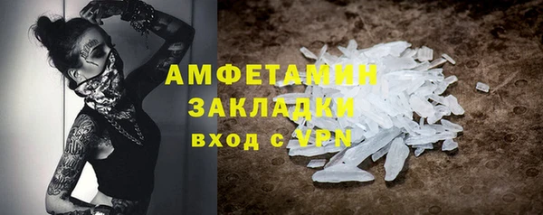 шишки Няндома