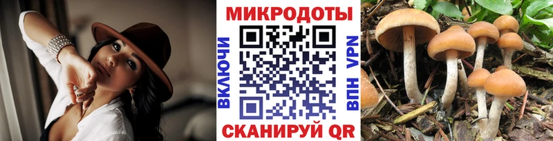 Галлюциногенные грибы GOLDEN TEACHER  Амурск 